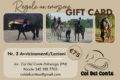 GIFT CARD 2026